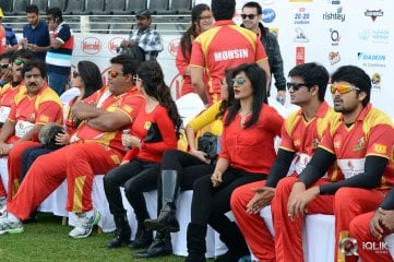 Celebrity Cricket League 2014